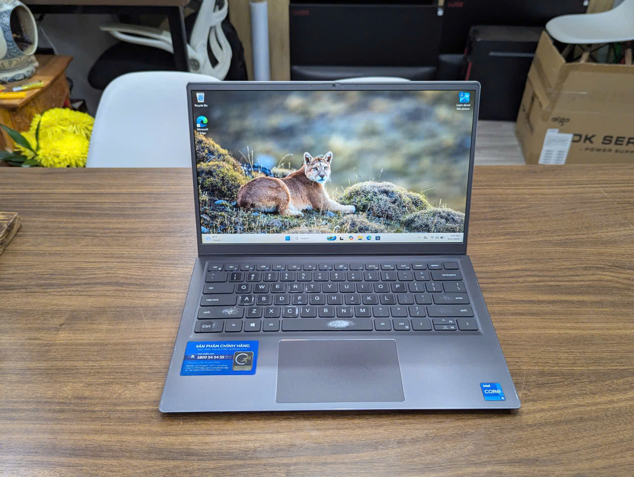 💥 XẢ KHO GIÁ SỐC: DELL VOSTRO 14 5410 – CHIP I5 GEN 11 DÒNG H HIỆU NĂNG CAO